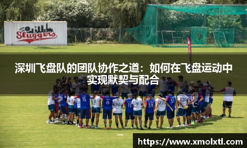 深圳飞盘队的团队协作之道：如何在飞盘运动中实现默契与配合